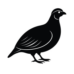 quail bird vector silhouette