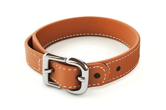 A pet collar with a silver buckle and tag ring on a white background