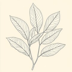 Obraz premium Delicate Outline of Tropical Leaves Gracefully Arranged Against a Soft Cream Background, Capturing the Essence of Nature's Beauty and Intricacy in Botanical Art