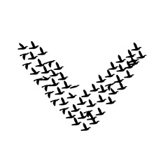 Silhouettes of birds flying in a dynamic V-formation against a white background, creating a visually striking pattern that conveys movement, unity, and direction.