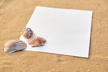 Blank note on the sand with seashells on sandy beach. Summer background with copy space for text, perfect for vacation, or travel design concepts.