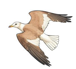 Obraz premium Yellow-legged gull in flight, Larus michahellis, isolated on white, clipping path