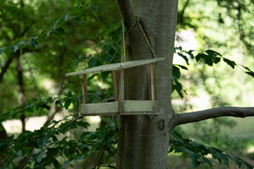 A wooden birdhouse hangs from a sturdy tree branch, surrounded by vibrant green leaves. Spring sunlight filters through the forest, creating a serene atmosphere