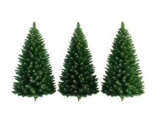 Obraz premium Christmas Tree Stand on Transparent png