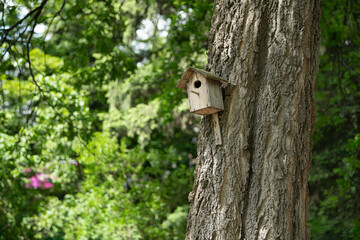A wooden birdhouse is attached securely to the trunk of a large tree. Surrounding greenery showcases the beauty of spring with colorful flowers and fresh leaves, creating a lively atmosphere