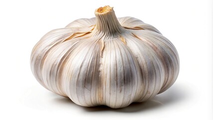 Single bulb of garlic with intricate layering and papery texture on white