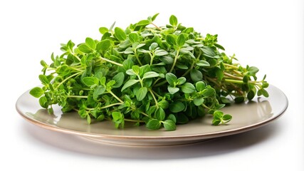 Obraz premium Fresh oregano herb bunch on a light brown plate in natural light