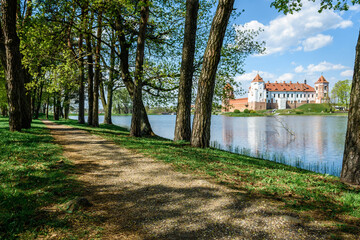 Linden alley in spring with fresh green leaves.