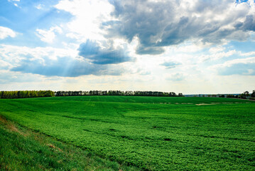 Asphalt road on a green meadow in Belarus at sunset.
