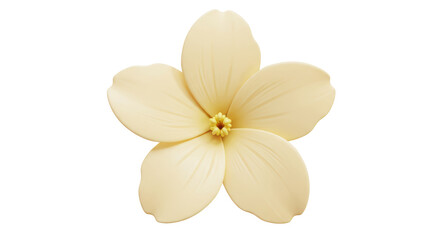 Isolated Creamy White Flower