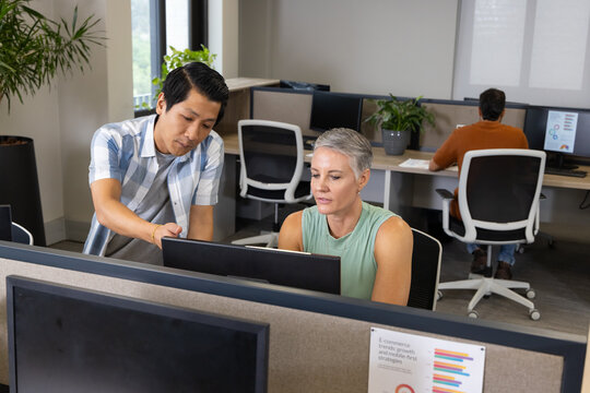 Collaborating Diverse coworkers reviewing printed chart on monitor at cubicles, with potted plants