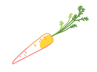 Carrot with green leaves. Flat vector illustration isolated on white background. Raw root vegetable. Healthy food and farming concept for design and print