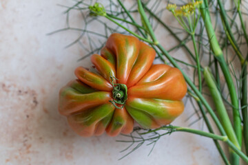 Heirloom tomato with fennel on a light surface, perfect for culinary blogs. Highlight fresh ingredients in your recipes or food photography projects. Ideal for cooking, gardening, or kitchen content.