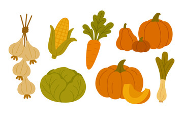 Flat vector set with cartoon autumn vegetables: pumpkins, carrot, garlic, cabbage, corn and leek.