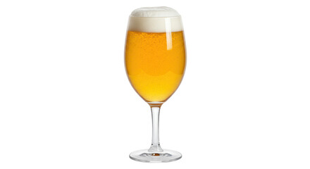 Isolated Beer Glass with Foam