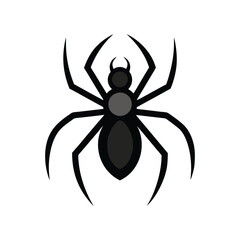 black widow spider vector icon on white background