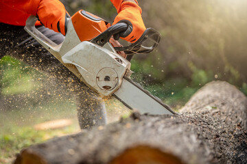 Cordless Chainsaw. Close-up of woodcutter sawing chain saw in motion, sawdust fly to sides. Chainsaw in motion. Hard wood working in forest. Sawdust fly around. Firewood processing.