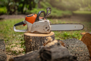 Cordless Chainsaw. Chainsaw on wooden stump or firewood. Firewood processing.