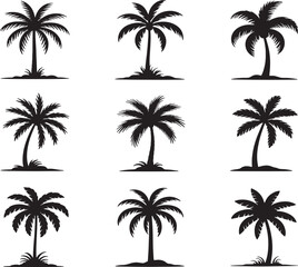 Fototapeta premium Set Of Black Silhouette Palm Trees Isolated On White Background