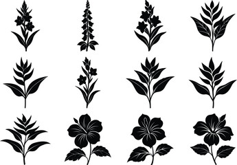 Hibiscus Arabian Flower Vector Silhouette Bundle Exotic Tropical Floral Set.