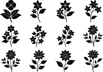 Flower Vector Silhouette Bundle Spiritual Elegant Floral Set