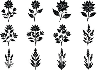 Kamini Lotus Parijat Flower Vector Silhouette Bundle Spiritual Elegant Floral Set