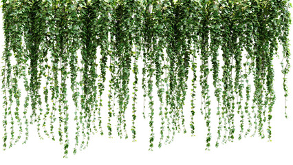 A bunch of green leaves hanging from a white wall