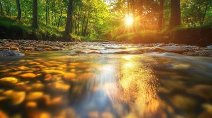 Printed kitchen splashbacks Stream of water with a sun shining on it. The sun is reflected in the water, creating a beautiful