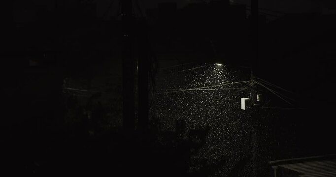 Night view background of falling snow captured under soft streetlight