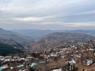autumn forest in the mountains