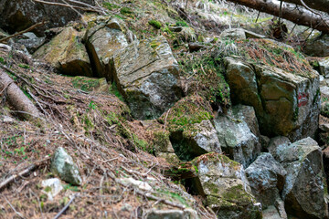 View of many fallen stones covered with earth and moss on the mountainside