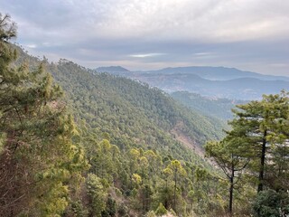 autumn forest in the mountains