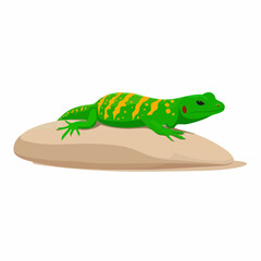 Fototapeta premium Striped Lizard on Rock. Vector image
