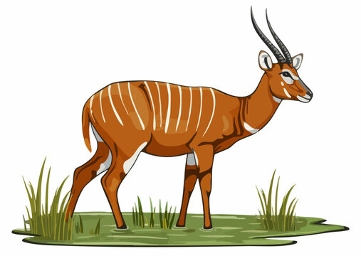 Striped Antelope in Wetland. Vector image