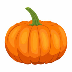 Obraz premium Single Pumpkin Vector Illustration. Vector image