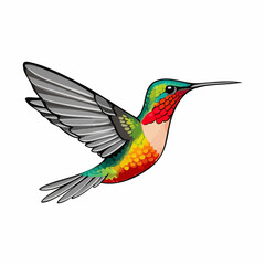 Fototapeta premium Hummingbird in Flight Vector Illustration. Vector image
