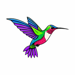 Obraz premium Hummingbird in Flight Vector Illustration. Vector image