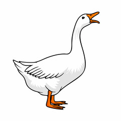 Domestic Goose Vector IllustrationVector image
