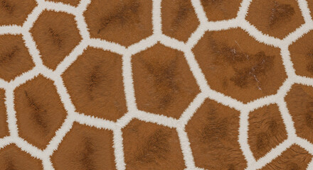 Giraffe skin pattern with brown and white textures  