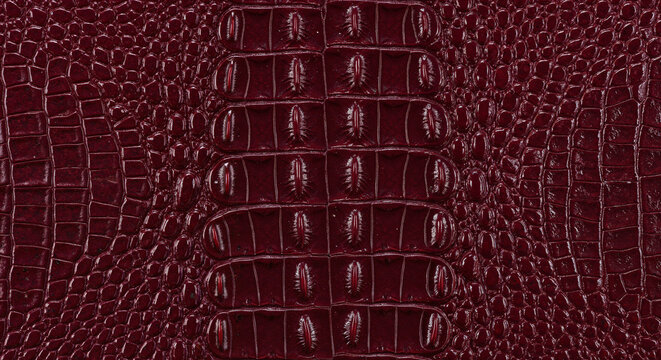 Crocodile leather texture in dark burgundy color with pattern  