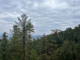 Fototapeta premium Trees with cloud showing beautiful weather in hilly area