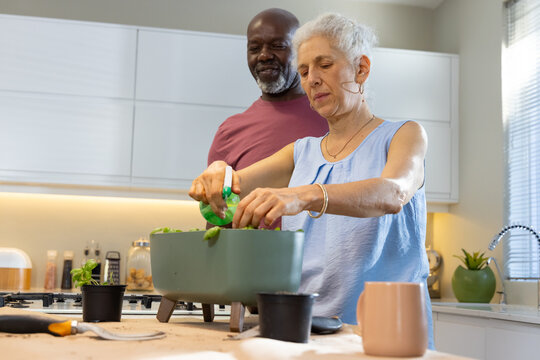 Senior couple potting herbs in home kitchen, with green planter, trowel and spray bottle