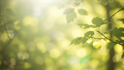 Defocused green leaves with sunlight bokeh effect in forest. Natural blurred background. Spring and renewal concept. Environmental and nature conservation theme - Powered by Adobe