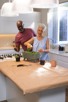 Tending Diverse couple watering seedlings on kitchen island, with spray bottle and planter