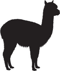 Fototapeta premium Alpaca vector silhouette on white background