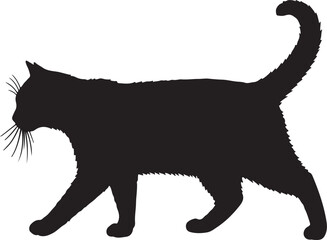 American Shorthair Cat vector silhouette on white background