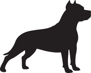 American Staffordshire Terrier vector silhouette on white background