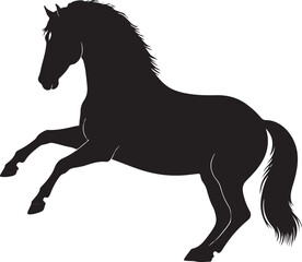 Andalusian Horse vector silhouette on white background