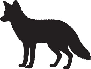 Andean Fox vector silhouette on white background