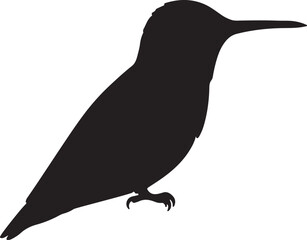 Anna's Hummingbird vector silhouette on white background